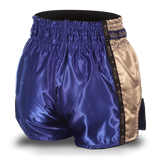 Blue and Grey Single Panel Stars Muay Thai Shorts